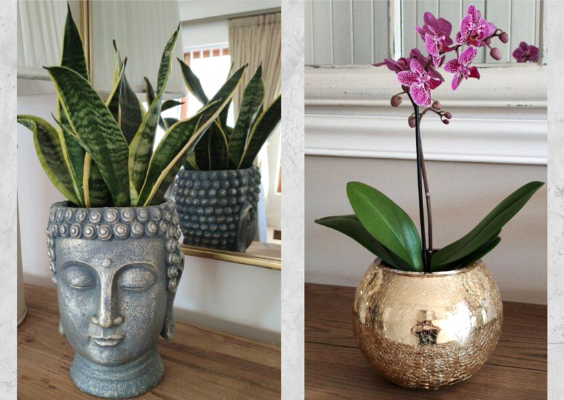 Planters &amp; Vases