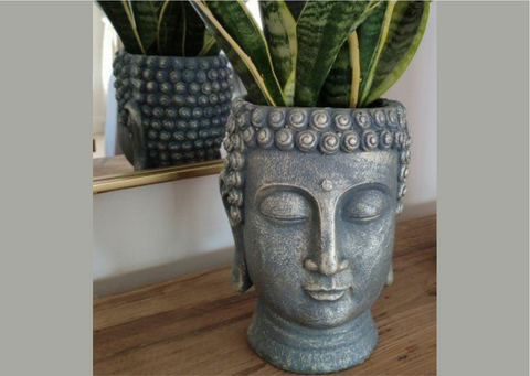 Buddha Head Planter